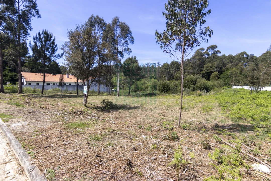 Terreno para Venda em Anta e Guetim Foto 1