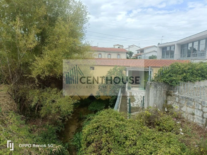 Loja para Venda em Ançã Foto 14