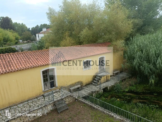 Loja para Venda em Ançã Foto 17