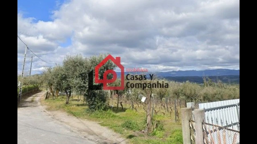 Terreno para Venda em Silgueiros