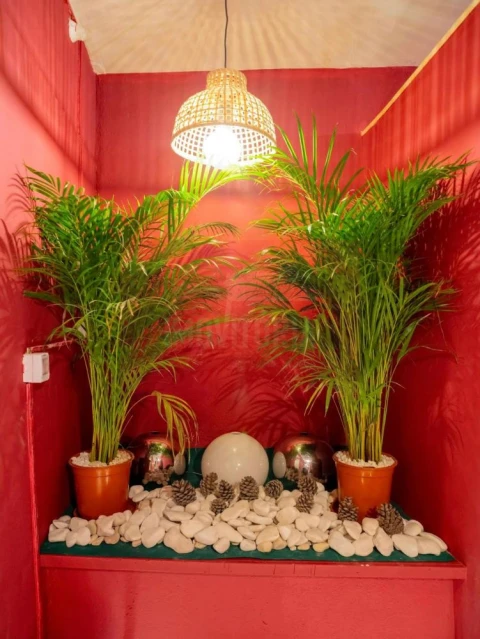 Loja para Trespasse em Santo António