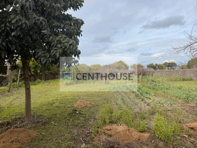 Moradia T6 para Venda em Sepins e Bolho Foto 15