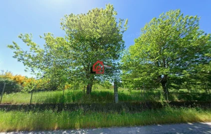 Terreno para Venda em Ferreira de Aves