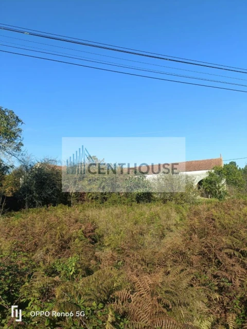 Moradia T3 para Venda em Carapelhos