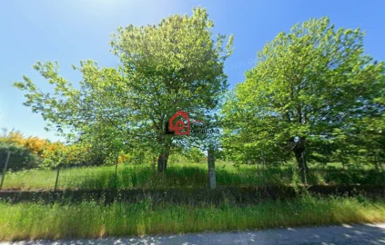 Terreno para Venda em Ferreira de Aves