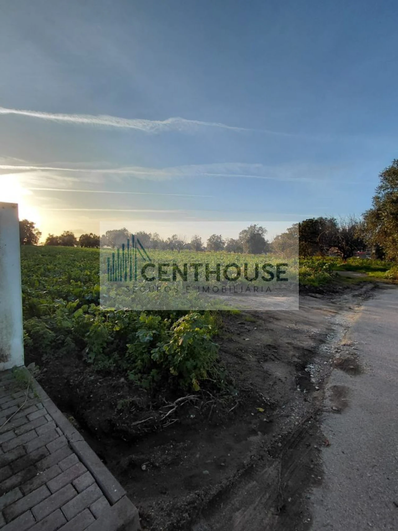 Terreno para Venda em Ourentã Foto 7