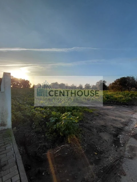 Terreno para Venda em Ourentã