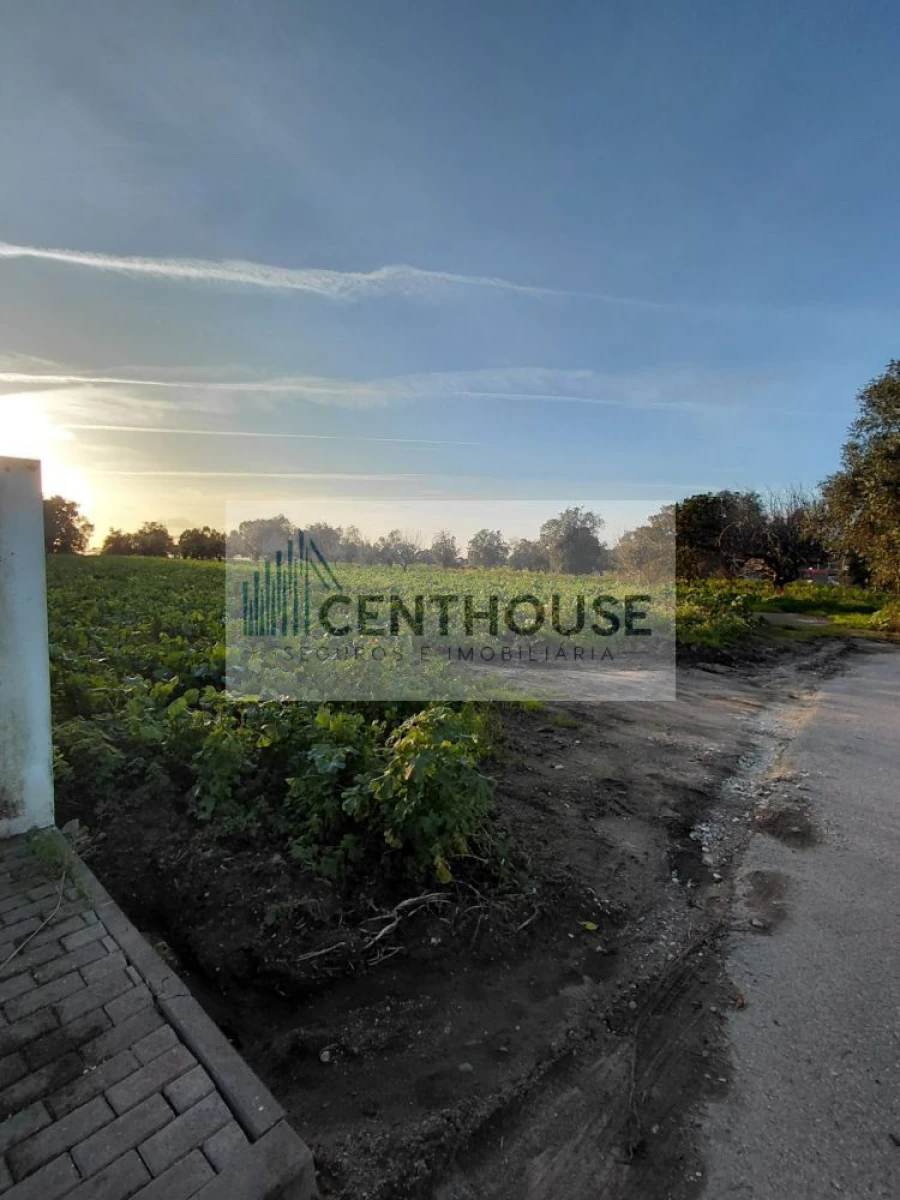 Terreno para Venda em Ourentã Foto 7