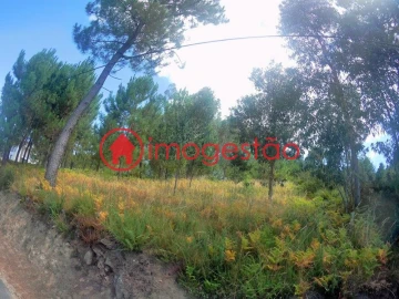 Terreno para Venda em Cornes