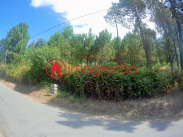 Terreno para Venda em Cornes