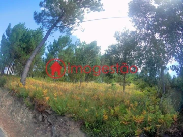 Terreno para Venda em Cornes