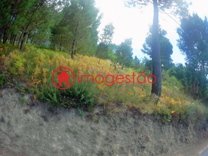 Terreno para Venda em Cornes Foto 7