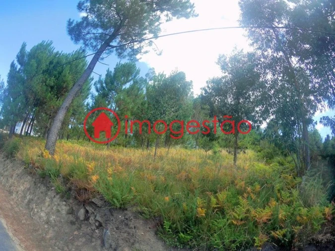 Terreno para Venda em Cornes Foto 4