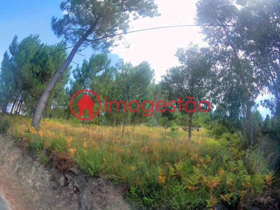 Terreno para Venda em Cornes Foto 6