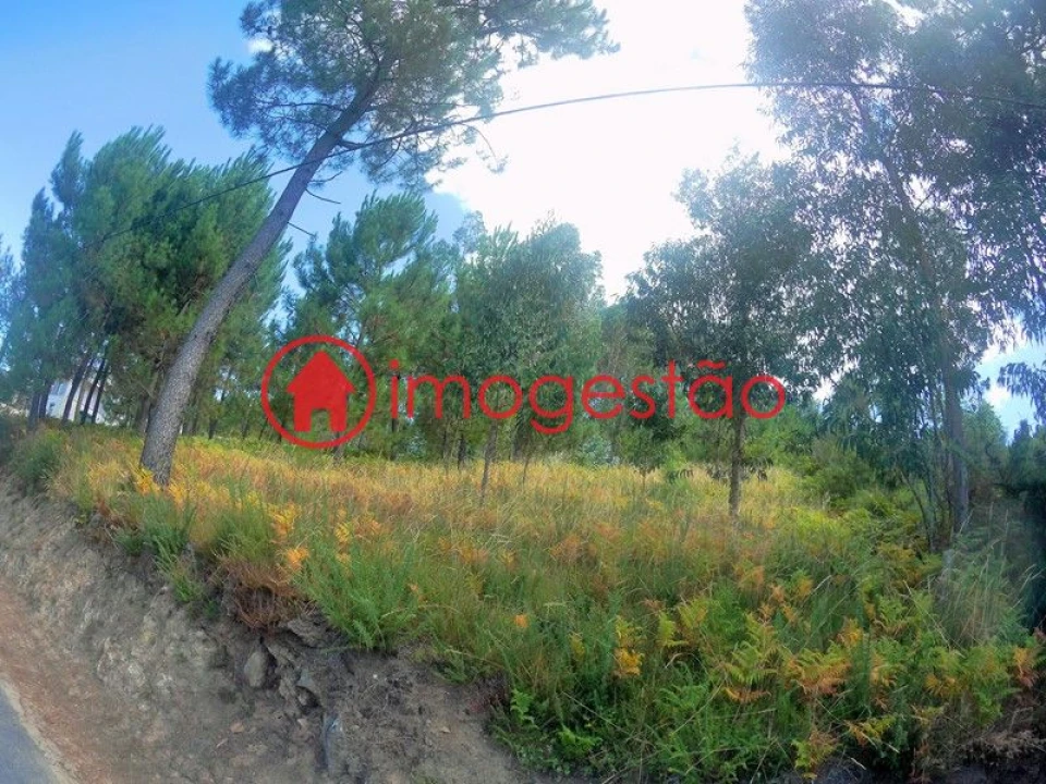 Terreno para Venda em Cornes Foto 4