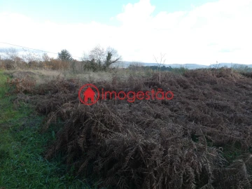 Terreno para Venda em Mentrestido