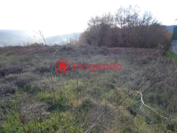 Terreno para Venda em Mentrestido