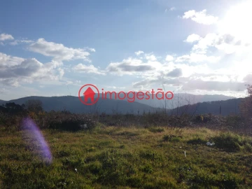 Terreno para Venda em Mentrestido