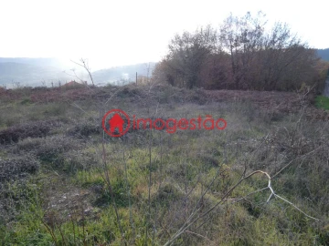 Terreno para Venda em Mentrestido
