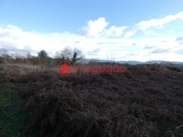 Terreno para Venda em Mentrestido