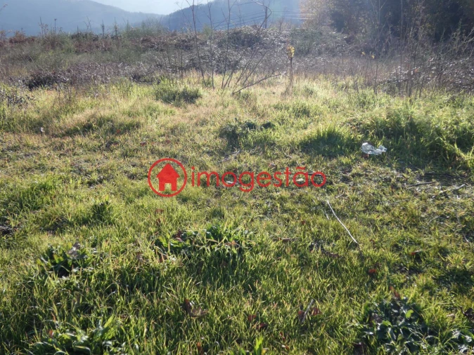 Terreno para Venda em Mentrestido Foto 10