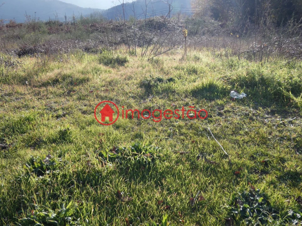 Terreno para Venda em Mentrestido Foto 10