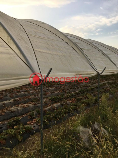 Quinta T0 para Venda em Cerdal