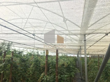 Quinta T0 para Venda em Cerdal