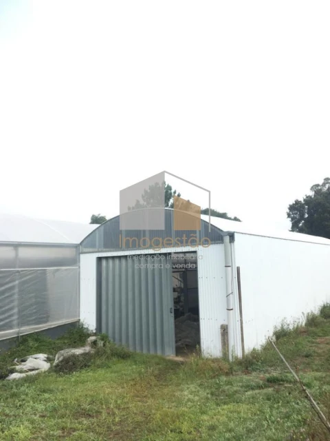 Quinta T0 para Venda em Cerdal