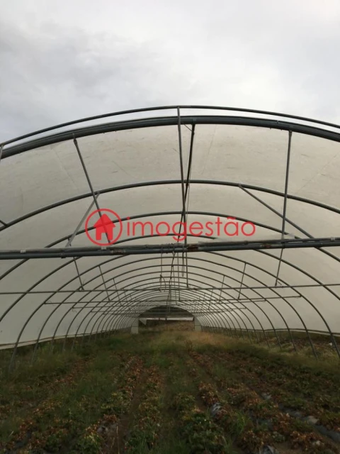 Quinta T0 para Venda em Cerdal