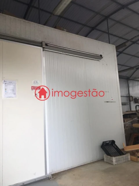 Quinta T0 para Venda em Cerdal