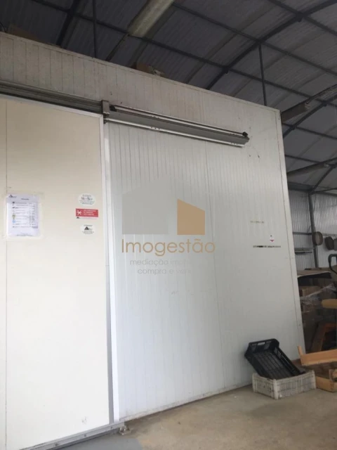 Quinta T0 para Venda em Cerdal