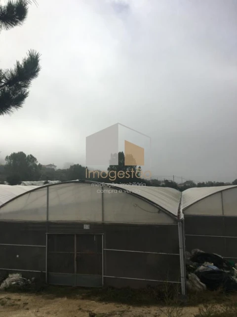 Quinta T0 para Venda em Cerdal