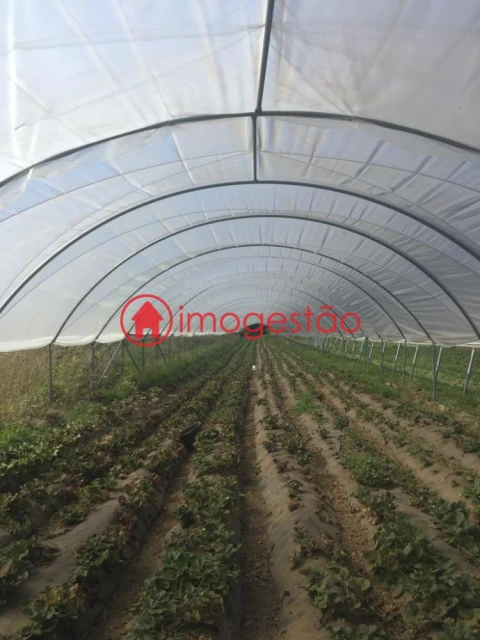 Quinta T0 para Venda em Cerdal