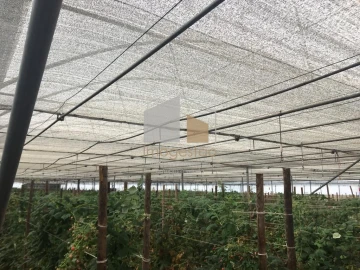 Quinta T0 para Venda em Cerdal