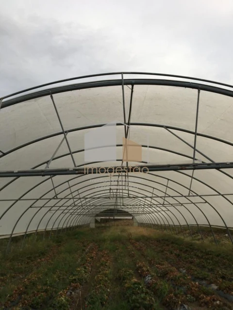 Quinta T0 para Venda em Cerdal