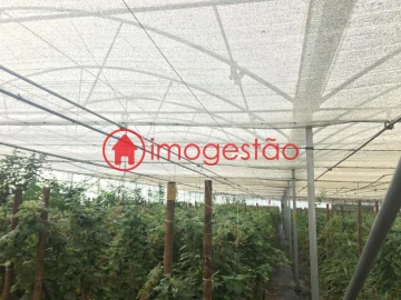 Quinta T0 para Venda em Cerdal