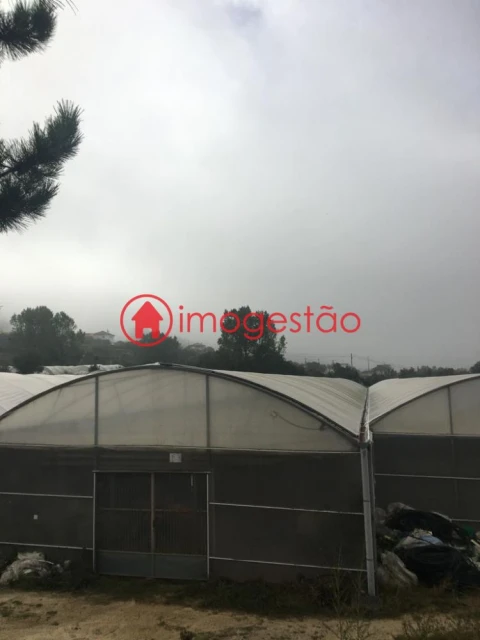 Quinta T0 para Venda em Cerdal