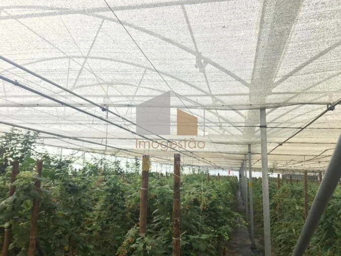 Quinta T0 para Venda em Cerdal Foto 17