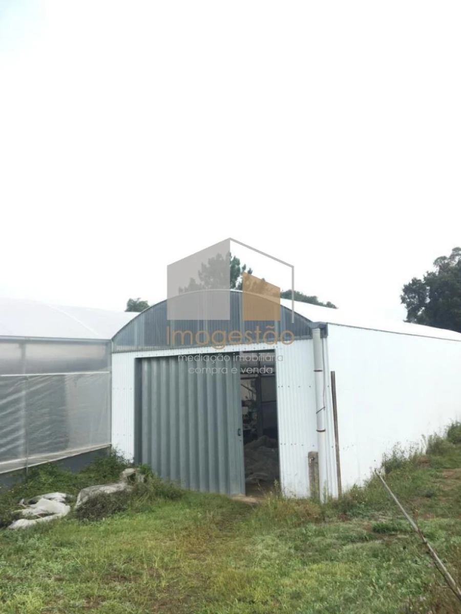 Quinta T0 para Venda em Cerdal Foto 3