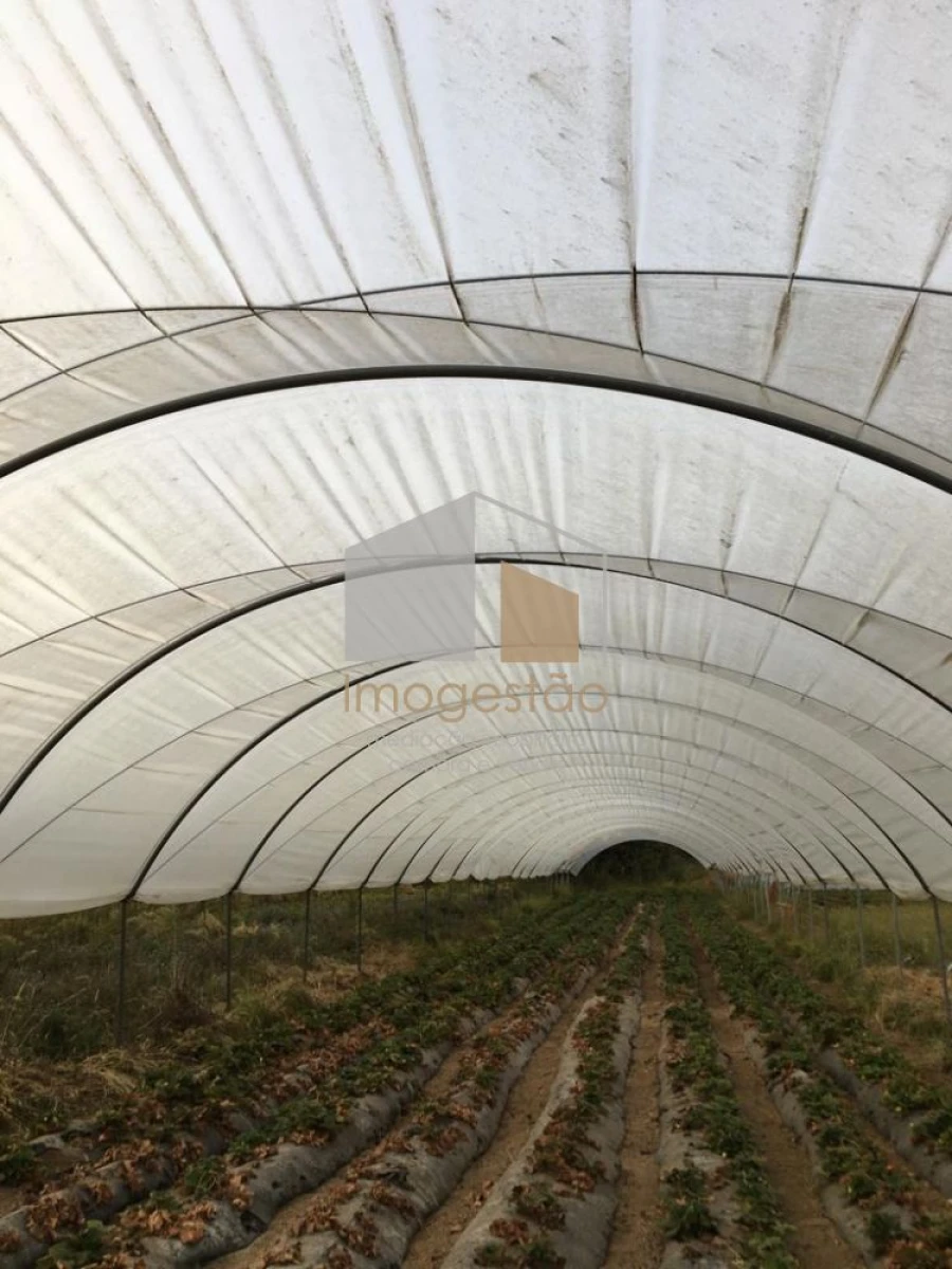 Quinta T0 para Venda em Cerdal Foto 14