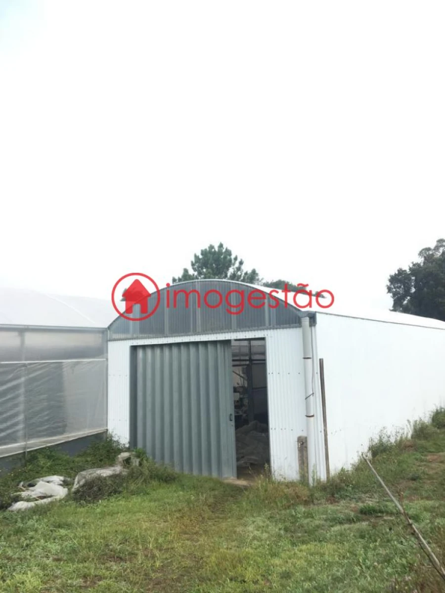 Quinta T0 para Venda em Cerdal Foto 4