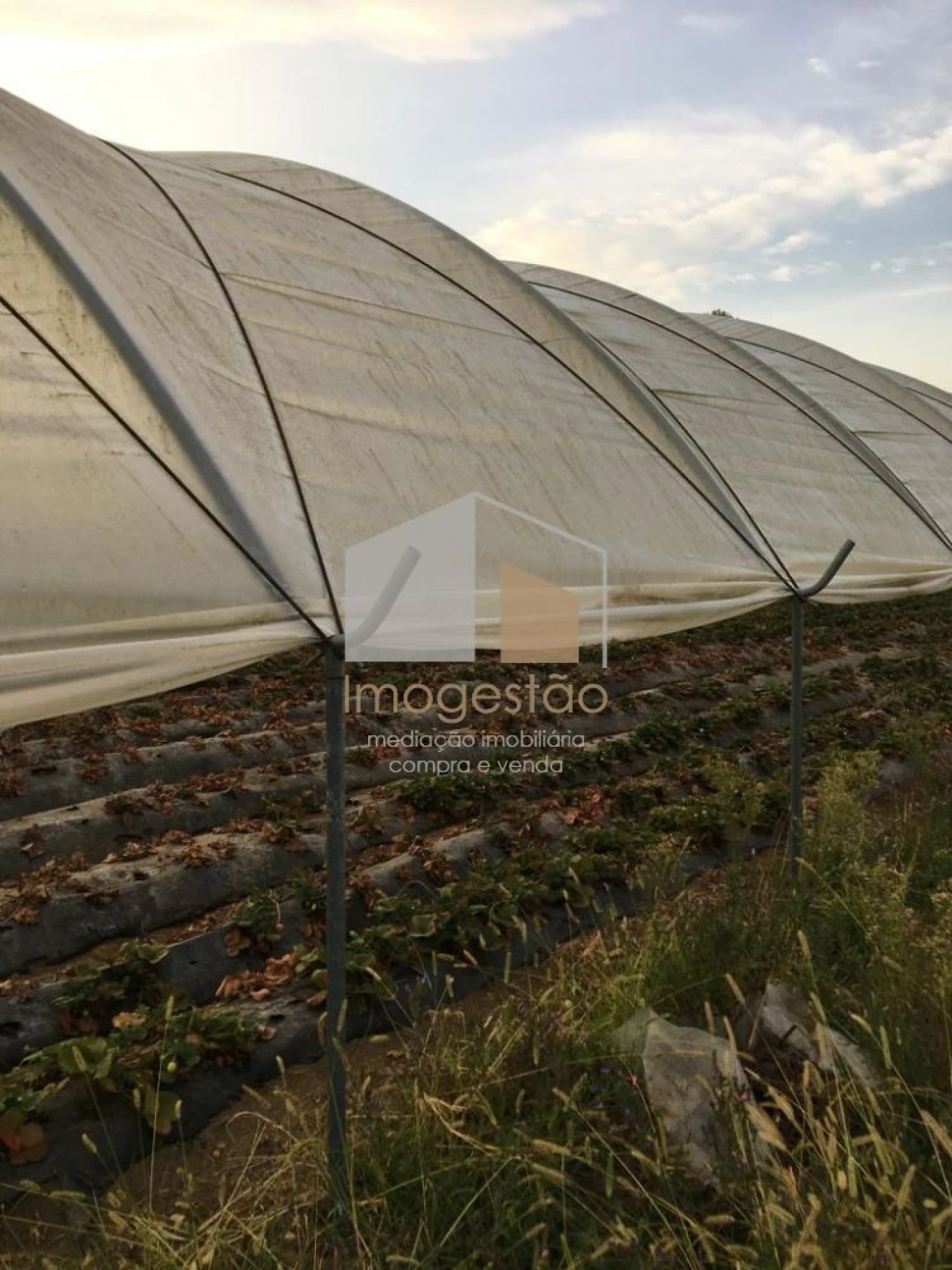 Quinta T0 para Venda em Cerdal Foto 11