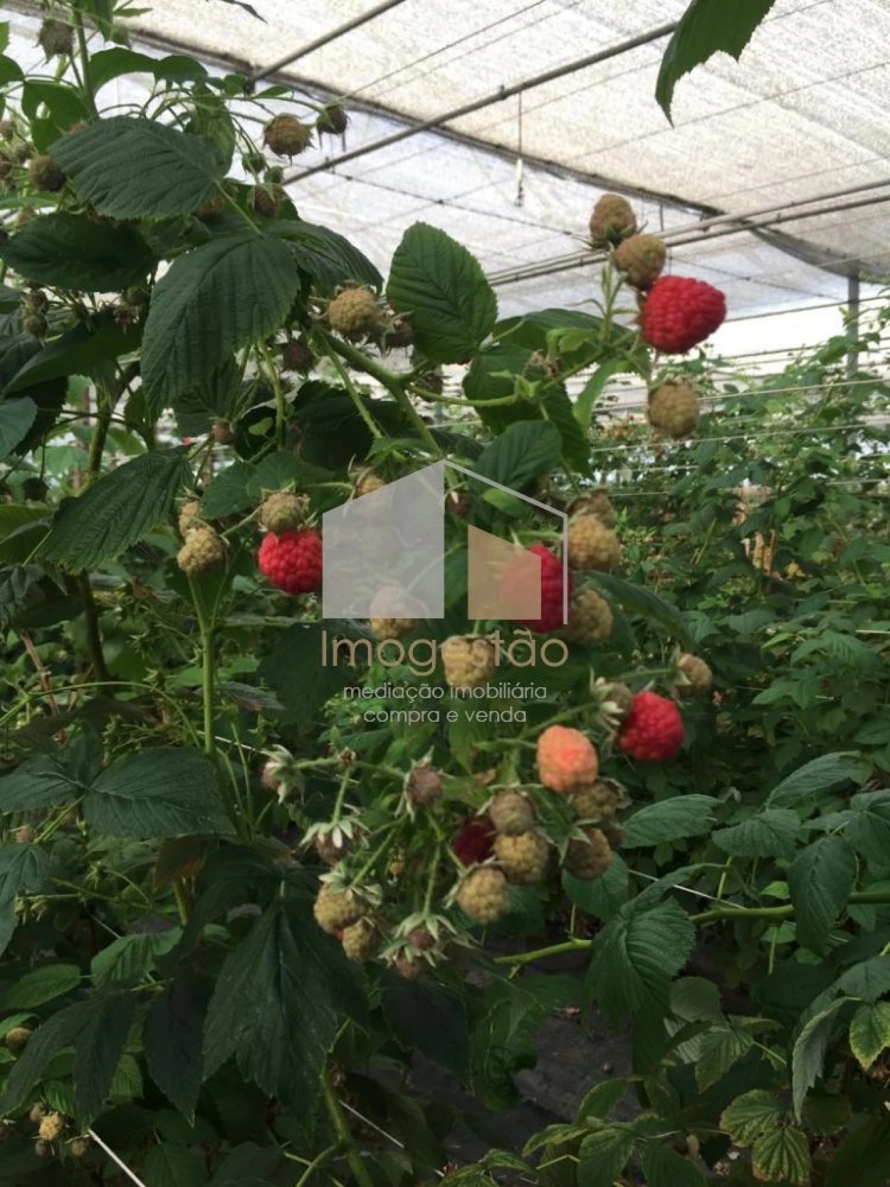 Quinta T0 para Venda em Cerdal Foto 19