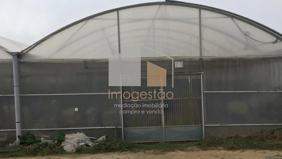 Quinta T0 para Venda em Cerdal