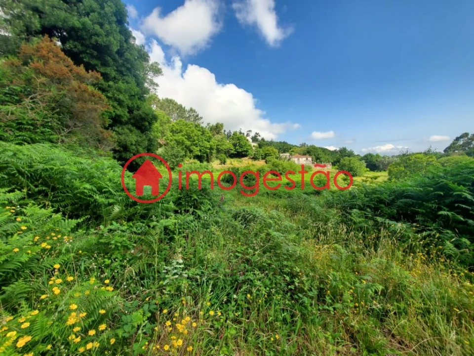 Terreno para Venda em Vila Nova de Cerveira e Lovelhe Foto 7