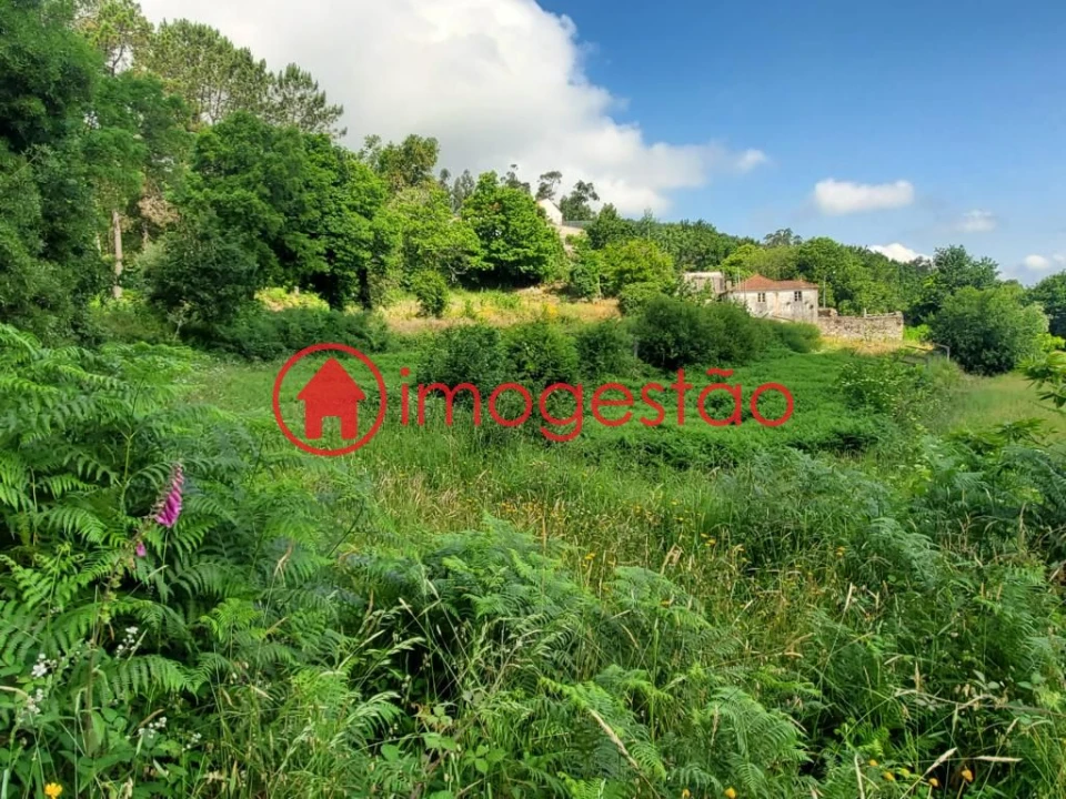 Terreno para Venda em Vila Nova de Cerveira e Lovelhe Foto 10