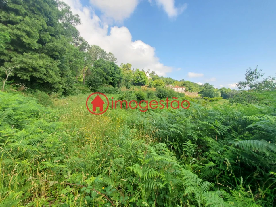 Terreno para Venda em Vila Nova de Cerveira e Lovelhe Foto 6