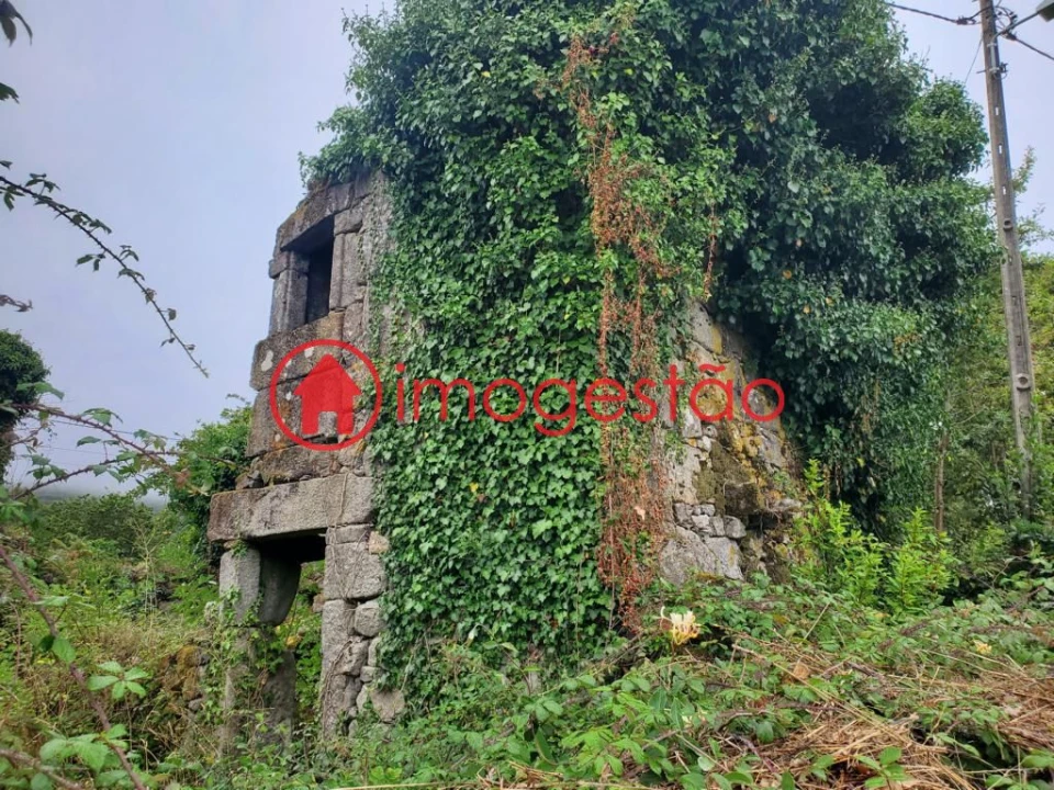 Quinta T0 para Venda em Loivo Foto 7