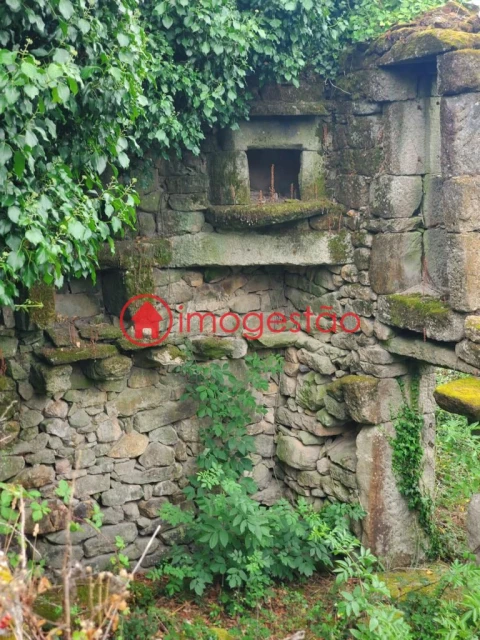 Quinta T0 para Venda em Loivo